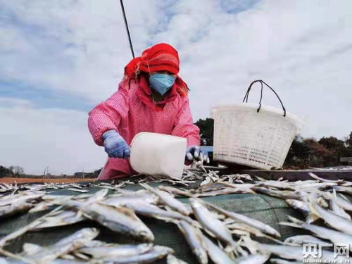 告别 以湖为生 以船为家 鄱阳湖传统渔民转产就业